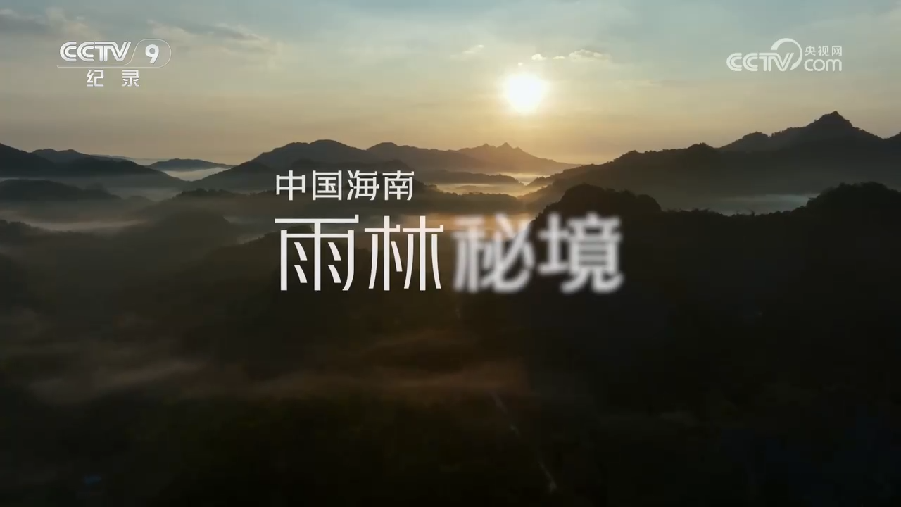 央視紀(jì)錄片《中國(guó)海南·雨林秘境》全集網(wǎng)盤(pán)下載